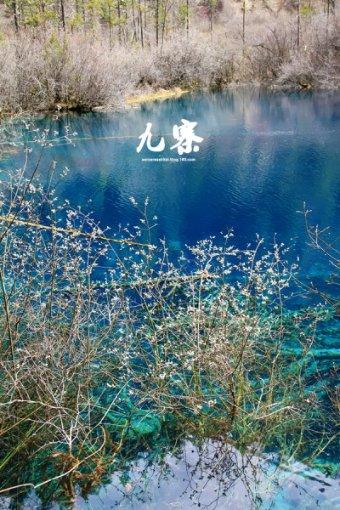 世界射箭锦标赛