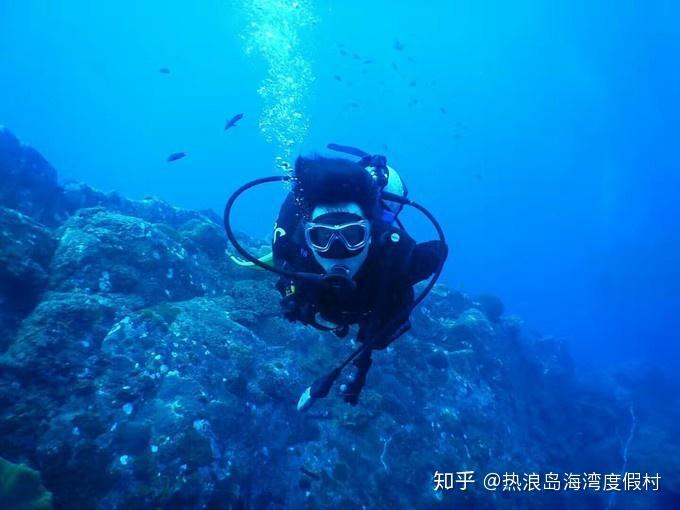 救援顽皮小猴