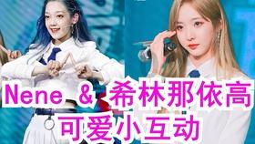 吕剑枫委员:全面推进全区新能源特色产业发展