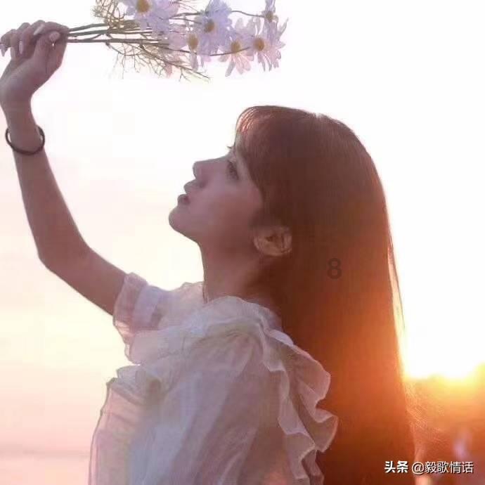狐狸的旅程