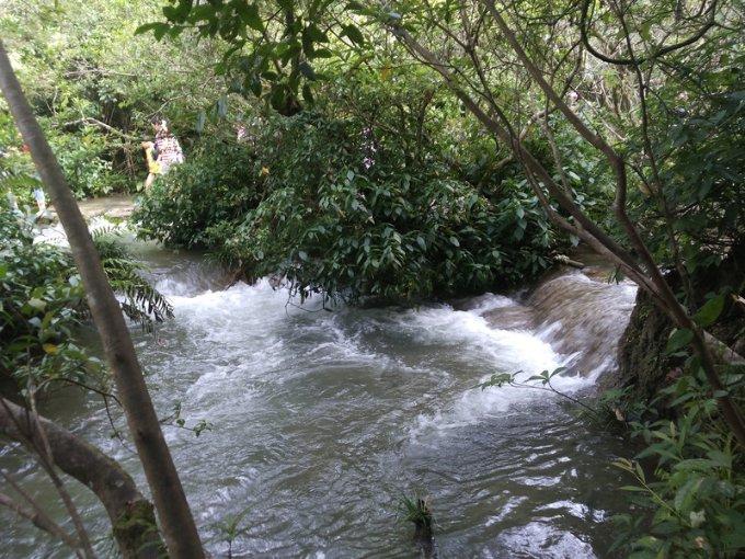 虫虫助手下载