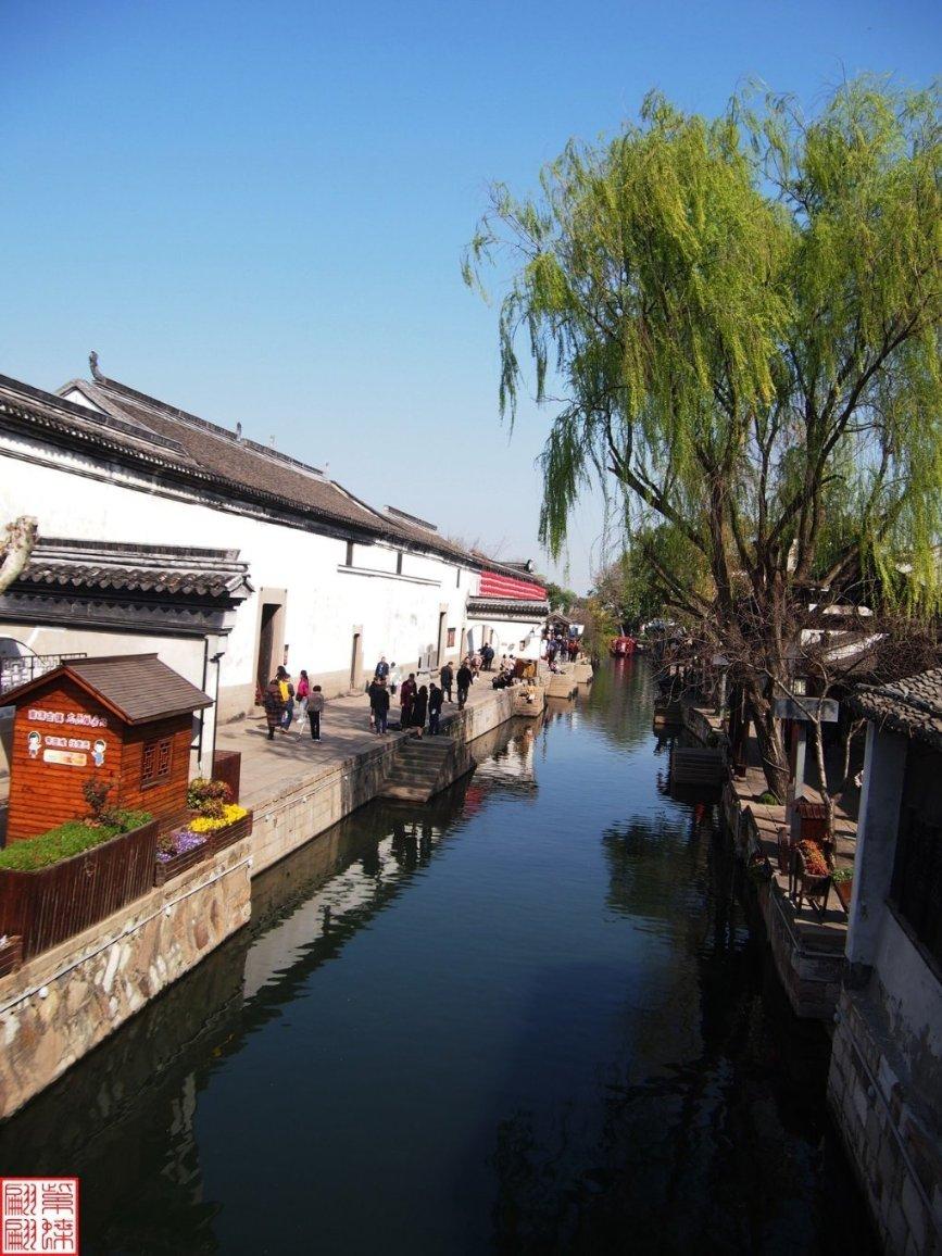 逃离橡子树种植地